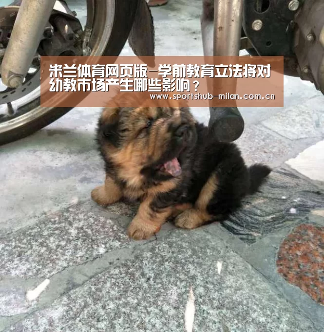 米兰体育网页版-学前教育立法将对幼教市场产生哪些影响?(图4) 米兰体育网页版