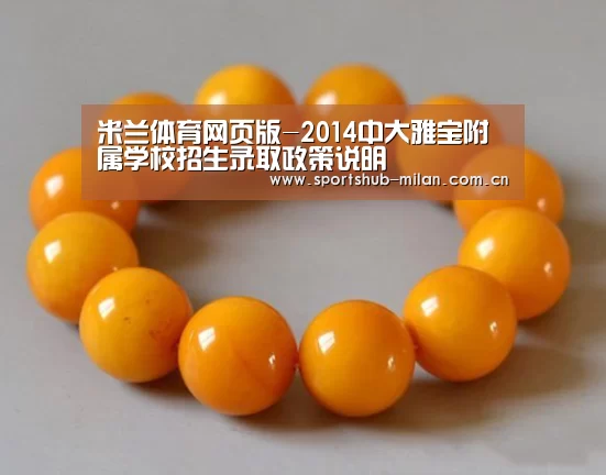 米兰体育网页版-2014中大雅宝附属学校招生录取政策说明(图2) 米兰体育下载地址