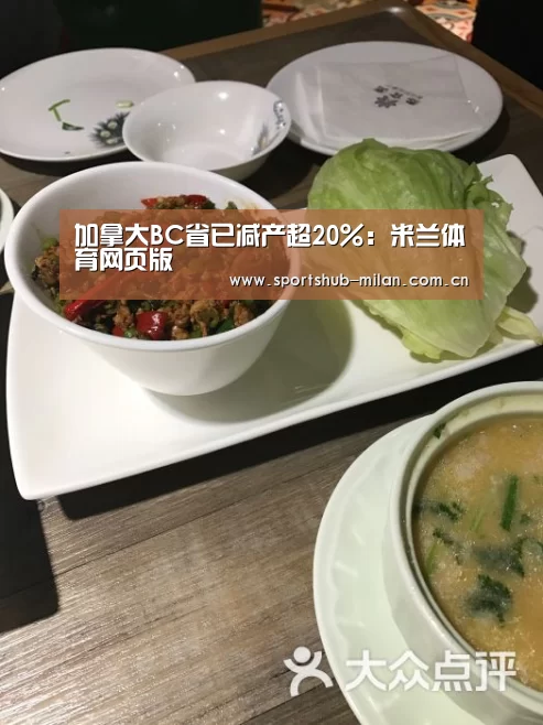 米兰体育网页版